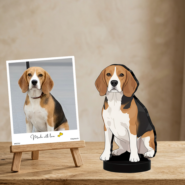 Your Pet Minify Art